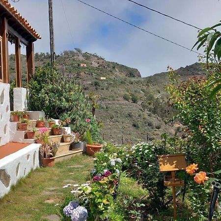 Casa Maria Villa Agulo ภายนอก รูปภาพ